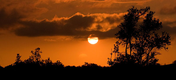 Last Big Island sunset of 2008