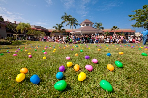 queensmarketeasterimg_9854-webr QUEENS MARKETPLACE / MICHAEL DARDEN PHOTOGRAPHY Hundreds of colorful Easter eggs cover the lawn at the Queens' MarketPlace minutes before the Great Waikoloa Easter Egg Hunt at Waikoloa Resort Saturday. Hundreds of colorful Easter eggs cover the lawn at the Queens' MarketPlace minutes before the Great Waikoloa Easter Egg Hunt at Waikoloa Resort Saturday.