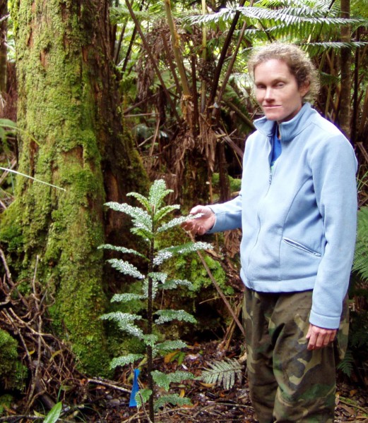 tanya-rubenstein-with-endangered-cyanea TMA Partnership Coordinator Tanya Rubenstein with