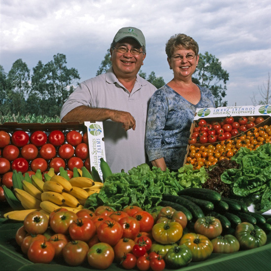 Richard and June Ha - Hamakua Springs Farm Richard and June Ha of Hamakua Springs Farm are surrounded by fresh lettuce, tomatoes, bananas, and cucumbers. (Photo courtesty of The Kohala Center)