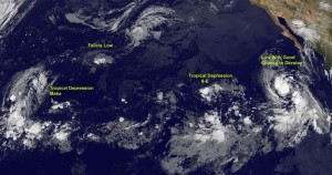 20090812_pacific-cyclones GOES-11 captured four tropical areas on Aug. 12 at 8 a.m. EDT, from left to right: Trop. Depression Maka, Felicia, now a low pressure area, Tropical Depression 9E, and a developing low near Mexico. Credit: NASA/GOES Project