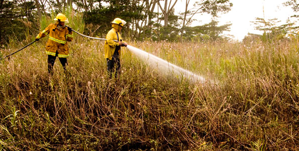 Firefighters put down hotspots of a brushfire in Hawaiian Beaches subdivision Saturday afternoon.