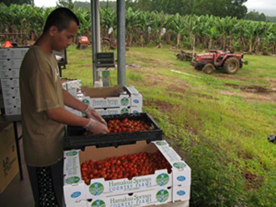 County Ag Plan: Building a local food system