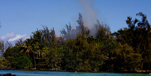 Firefighters along with Chopper One responded to a fire in the treetops at Kealoha Beach Park in Keaukaha. Photos and video.