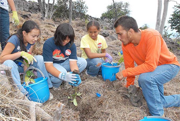 Arthur Lawrence Mullaly Fund provides dryland forest restoration, community volunteer opportunities; talk story evening slated Feb. 25