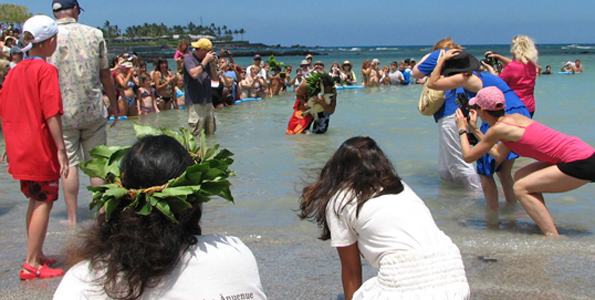 Seven green sea turtles, or honu, are released into the ocean after being raised in the hote's saltwater ponds