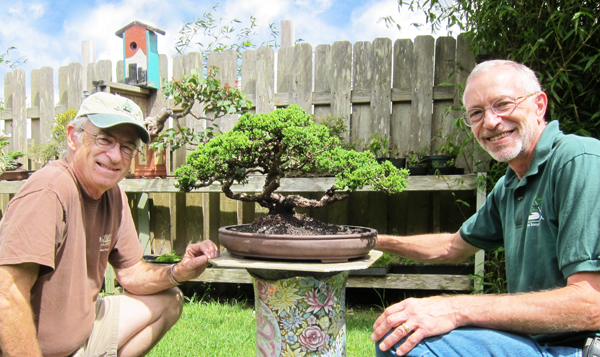 Jim Skibby, Bob and Nancy Male, members of the Waimea Bonyu Kai Bonsai Club will share a bonsai presentation on Friday, September 10, 2010 from 5:30 p.m. - 7:30 p.m. at the Donkey Mill Art Center.