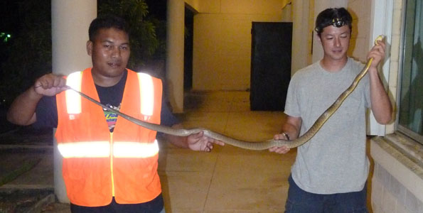 Nine Pacific island-based personnel, including several from Hawaii Invasive Species Committees, went to Guam for a three-week training session on the Brown Tree Snake.