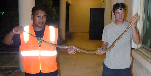 Nine Pacific island-based personnel, including several from Hawaii Invasive Species Committees, went to Guam for a three-week training session on the Brown Tree Snake.