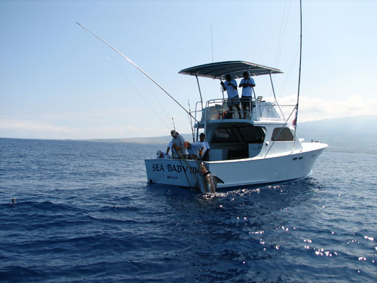 HIBT2011SeaBabyHaul