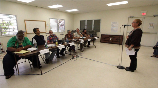 Many testify in favor of a revised Plan 40 redistricting map during a public hearing held at the Keaau Community Center.