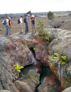 Hikers at 1969 fissure of Mauna Ulu eruption The Friends of Hawaii Volcanoes National Park hosts its next 'Sunday Walk in the Park' on Sunday (Feb 12) from noon to 2 p.m. This month's 3-mile round-trip walk explores the Mauna Ulu area, which is home to dramatic volcanic features such as this 1969 fissure. Photo by: NPS/Jay Robinson