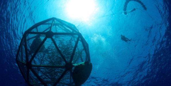 Velella drifter pen project completes grow-out miles off Big Island
