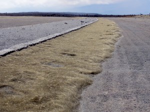 20120503_usgs-peles-hair Pele's hair covers much of the ground in the area immediately downwind of the vent at Halemaumau crater. Accumulations about a meter (yard) wide are found on the windward sides of the curbs in the Halemaumau parking lot, which is closed to the public because of the ongoing volcanic hazard. USGS Photo by Matthew Patrick
