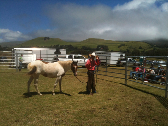 RichardWintersHorseExpo2012