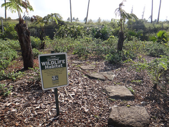 The National Wildlife Federation certification sign now sits proudly in the main garden area at Hawaii Wildlife Center. (Photo courtesy of Hawaii Wildlife Center)