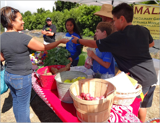 State Rep. Cindy Evans recently checked out Malaai's weekly Farm Stand and the crop areas cultivated by students to supply fresh produce for the stand including these beautiful beds of spinach and other leafy greens. With Evans are (from left) Malaai's executive director Alethea Lai, garden leader Holly Sargeant-Green and Waimea Middle School principal Matt Horne. (Photo courtesy of Waimea Middle School)