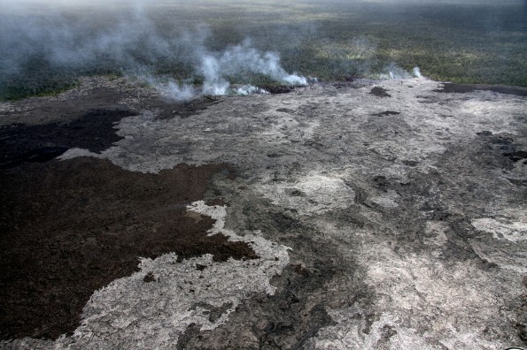 A close-up of the Kahaualeʻa II flow burning vegetation at the forest line, just north of Puʻu ʻŌʻō. The flow consists of numerous slow-moving pāhoehoe lobes. Photo taken on Tuesday (June 11). Photo courtesy of USGS/HVO