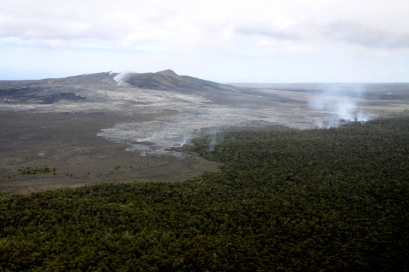 This photo looks south towards Puʻu ʻŌʻō, where a vent is supplying lava to the Kahaualeʻa II flow, north of the cone on Tuesday (June 11). This slow-moving flow has reached the forest line, producing small scattered brush fires. Photo courtesy of USGS/HVO