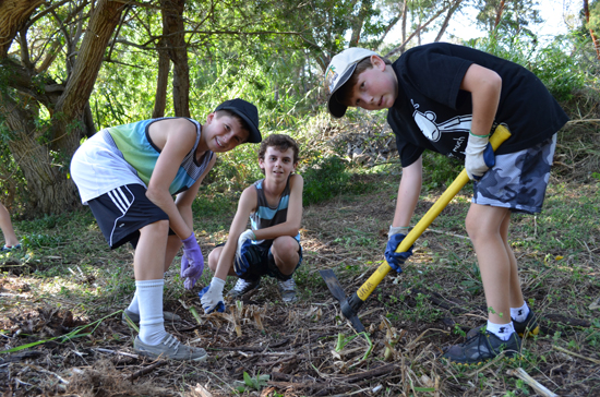 Parker students help Waimea Trails and Greenways by removing roots and stumps in preparation for a new footbridge near the Waimea Nature Park. (Photo courtesy of Parker School)