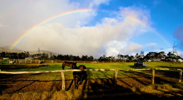 The weather outside was a little rainy but more delightful than frightful on Christmas Day in Waimea. Photography by Baron Sekiya | Hawaii 24/7