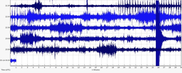 A USGS seismograph in the Waikoloa area captured the jolt of the 3.5 magnitude temblor on the right side of this image.