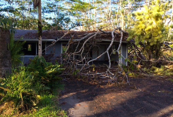A home in Hawaiian Paradise Park damaged from a fallen tree during Tropical Storm Iselle. Hawaii 24/7 File Photo