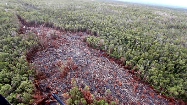 Looking upslope from the lava flow front where the flow had exited a ground crack and widened in the forest. Photo taken September 20, 2014. Photography by Baron Sekiya | Hawaii 24/7, Air Transportation by Paradise Helicopters