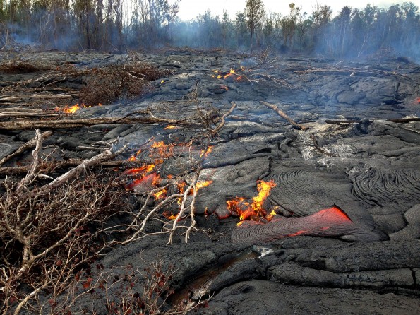 One of many small pāhoehoe toes and surface flows noted by HVO geologists this morning in the area near the crack system where lava partially filled, and flowed out of a crack, around September 6. Photo taken Sunday, November 23, 2014 courtesy of USGS/HVO