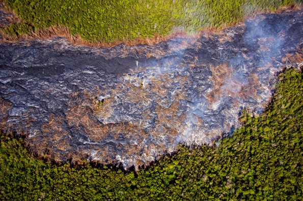 A vertical view of the lava flow in the area of ground cracks. Portions of the flow surface include numerous downed trees, resulting from the initial phases of the flow burning through the trunks, causing the trees to topple. Other areas of the lava flow are devoid of downed trees, and show areas where a second, or third, phase of lava burned through the downed trees on the initial flow surface. Photo taken Monday, November 24, 2014 courtesy of USGS/HVO