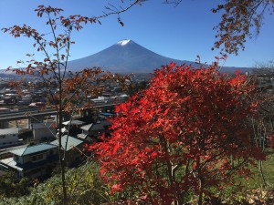 Mount Fuji, or Fuji-san as the Japanese address the mountain, is 3,776 m (12,389 ft) tall and towers above the surrounding communities. USGS photo.