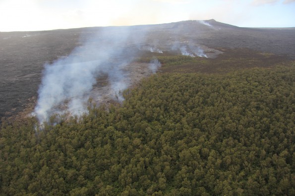 The November 25, 2015, breakout that began as a rupture from the tube supplying the June 27th lava flow advanced slowly to the northeast of Pu‘u ‘Ō‘ō (background) and reached the forest in mid-December, but still poses no immediate threat to Puna communities. USGS image.