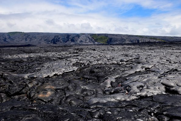 As Kīlauea Volcano’s active pāhoehoe flow spreads across the coastal plain on July 6, the new lava appeared more shiny or silvery compared with the older lava beneath it. Molten “toes” of lava breaking out from the leading edges of the flow can be seen in the lower right quadrant of the photo. USGS photo.