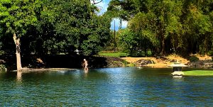 at Queen Liliuokalani Gardens in Hilo the King Tide submerged walkways in the park Tursday, May 25, 2017. Photography by Baron Sekiya | Hawaii 24/7