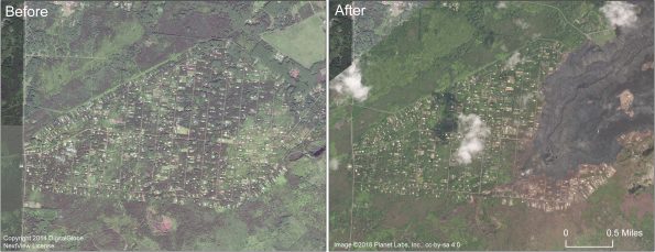 This comparison shows satellite images of Leilani Estates subdivision before and after. The image on the right, collected in early September 2018, shows that the eastern portion of the subdivision has been covered by lava. The fissure 8 lava channel runs northeast from the fissure 8 cone at the start of the channel. Note also the brown areas of dead vegetation south of the lava flow. Highway 130 runs north-south along the left side of the images.