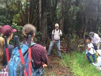 Paul Field instructs volunteers on vegetation management at Hawaii Volcanoes National Park. NPS Photo