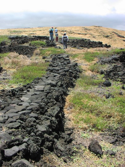 Kaunāmano covers five undeveloped parcels of 1,363 acres between Nāʻālehu and Honu‘apo.